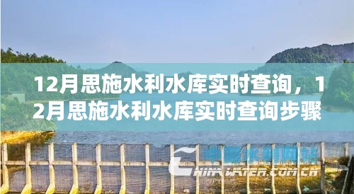 12月思施水利水庫實(shí)時(shí)查詢系統(tǒng)使用指南