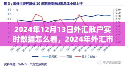 2024年外匯市場散戶實時數(shù)據(jù)解讀指南，如何查看與分析外匯散戶實時數(shù)據(jù)