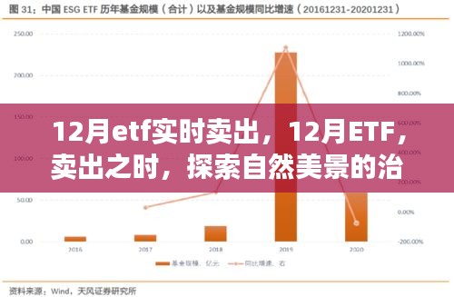 12月ETF實(shí)時(shí)賣出，探索自然美景的治愈之旅