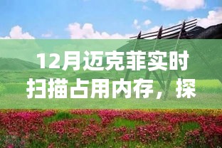 邁克菲實(shí)時(shí)掃描與內(nèi)存占用，自然之旅尋找內(nèi)心平和之地
