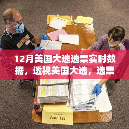透視美國(guó)大選，選票實(shí)時(shí)數(shù)據(jù)的深度解讀與影響洞察