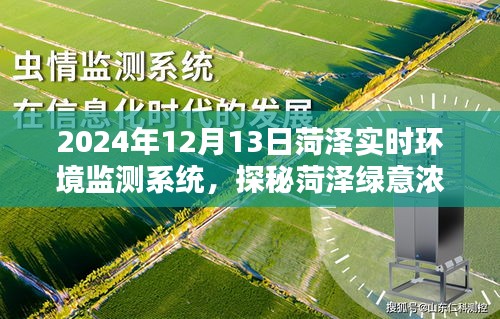 探秘菏澤綠意濃時(shí)，實(shí)時(shí)環(huán)境監(jiān)測系統(tǒng)邀您共賞自然之美