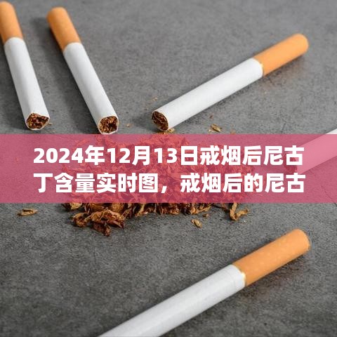 戒煙后尼古丁含量變化深度解讀，實(shí)時(shí)圖揭示戒煙過(guò)程尼古丁含量變化軌跡（圖文詳解）