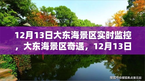 大東海景區(qū)奇遇，12月13日的魔法時(shí)光實(shí)時(shí)監(jiān)控記錄