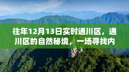 通川區(qū)自然秘境，尋找內(nèi)心平靜的奇妙之旅，12月13日實(shí)時(shí)探索之旅