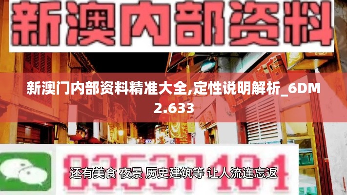 新澳門內(nèi)部資料精準大全,定性說明解析_6DM2.633