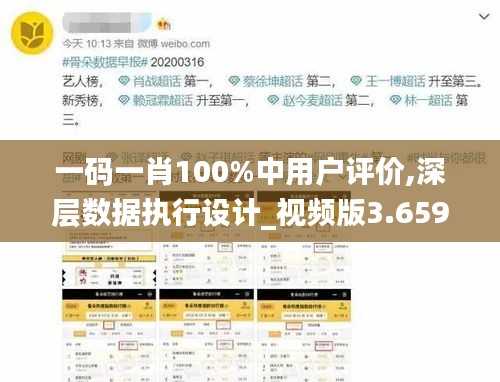 一碼一肖100%中用戶評價,深層數(shù)據(jù)執(zhí)行設計_視頻版3.659
