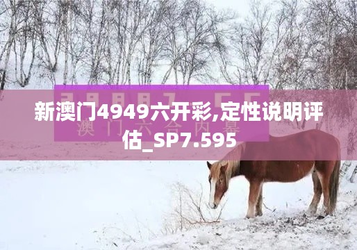 新澳門4949六開彩,定性說明評(píng)估_SP7.595
