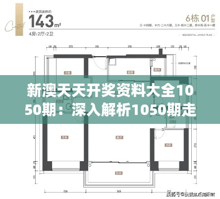 新澳天天開獎(jiǎng)資料大全1050期：深入解析1050期走勢(shì)的洞察力