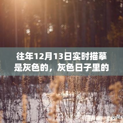灰色日子里的彩色溫情，一場意外的冬日奇遇紀(jì)實(shí)