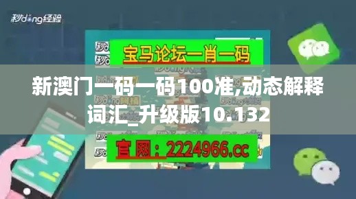 新澳門(mén)一碼一碼100準(zhǔn),動(dòng)態(tài)解釋詞匯_升級(jí)版10.132