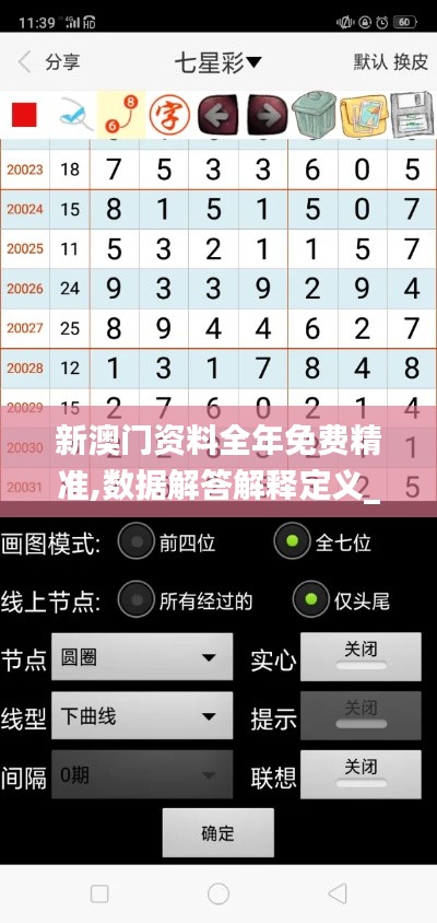 新澳門資料全年免費精準,數(shù)據(jù)解答解釋定義_移動版17.173