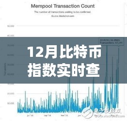 12月比特幣指數(shù)實(shí)時(shí)查詢(xún)，全面評(píng)測(cè)與詳細(xì)介紹