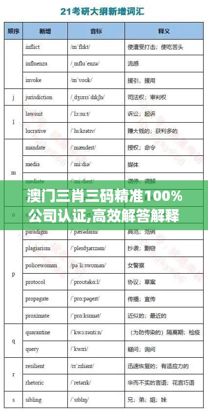 澳門三肖三碼精準100%公司認證,高效解答解釋定義_錢包版10.807
