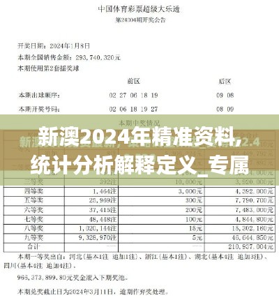 新澳2024年精準(zhǔn)資料,統(tǒng)計分析解釋定義_專屬款12.303