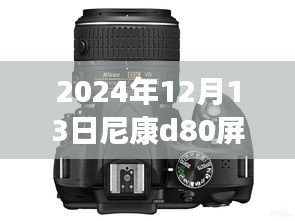尼康D80相機(jī)屏幕實(shí)時(shí)預(yù)覽功能詳解與技術(shù)指南，前沿技術(shù)與操作指南（2024年12月版）