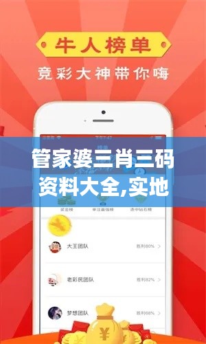 管家婆三肖三碼資料大全,實地策略評估數據_Elite3.292