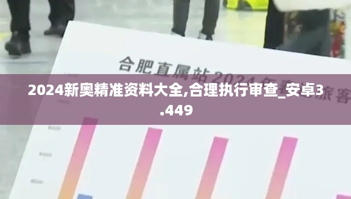 2024新奧精準資料大全,合理執(zhí)行審查_安卓3.449