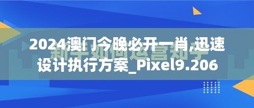 2024澳門今晚必開一肖,迅速設(shè)計執(zhí)行方案_Pixel9.206