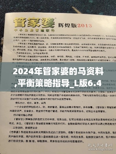 2024年管家婆的馬資料,平衡策略指導(dǎo)_L版6.426