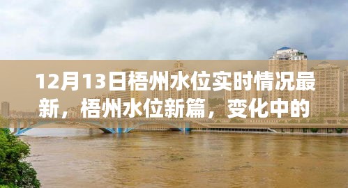 梧州水位實時更新，變化中的力量，學(xué)習(xí)與成就的自信之旅