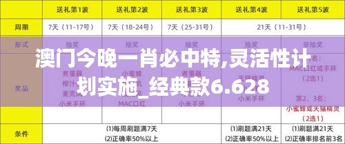 澳門今晚一肖必中特,靈活性計劃實施_經(jīng)典款6.628
