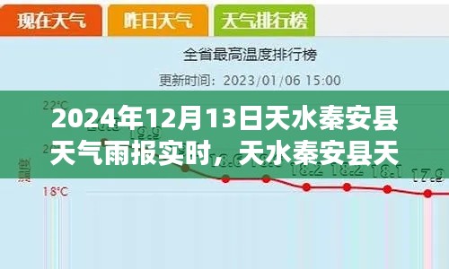 2024年12月13日天水秦安縣降雨實(shí)時(shí)報(bào)告，雨情分析及其影響深度觀察