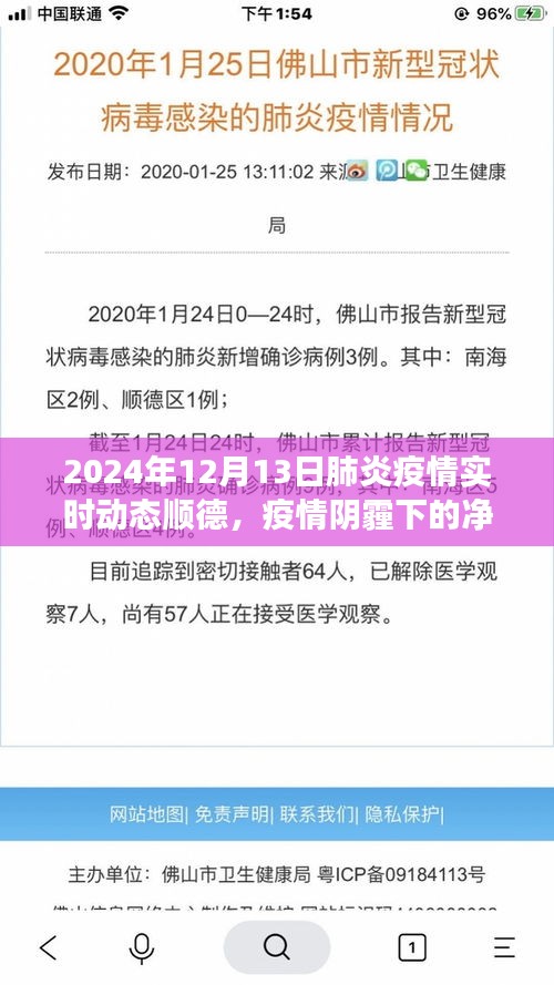 順德疫情動態(tài)與心靈洗滌之旅，探索凈土，直面肺炎疫情的挑戰(zhàn)