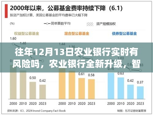 農(nóng)業(yè)銀行智能風控系統(tǒng)升級引領金融科技新紀元，實時風險分析與防范能力探討