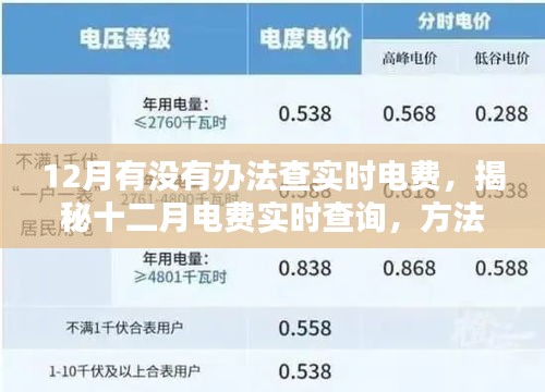 揭秘十二月電費實時查詢方法與影響，背景及操作指南