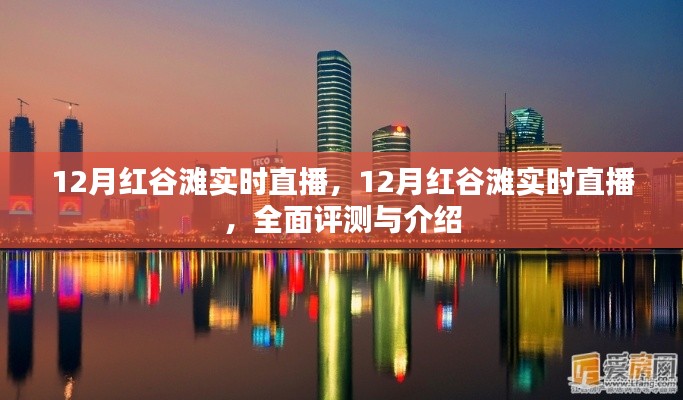 12月紅谷灘實(shí)時(shí)直播，全面評(píng)測(cè)與詳細(xì)介紹