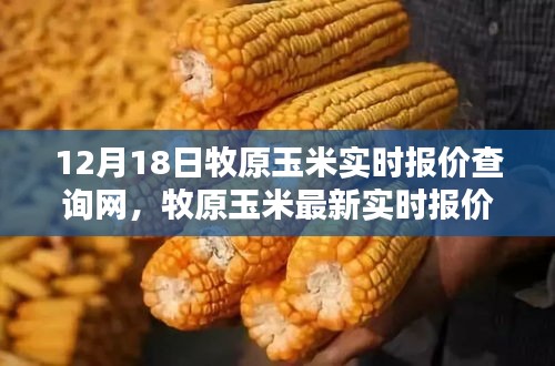 12月18日牧原玉米實(shí)時(shí)報(bào)價(jià)在線查詢指南