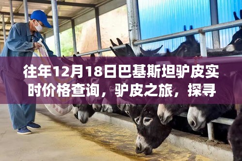 巴基斯坦驢皮價格實時查詢，探尋自然美景與內(nèi)心寧靜之旅