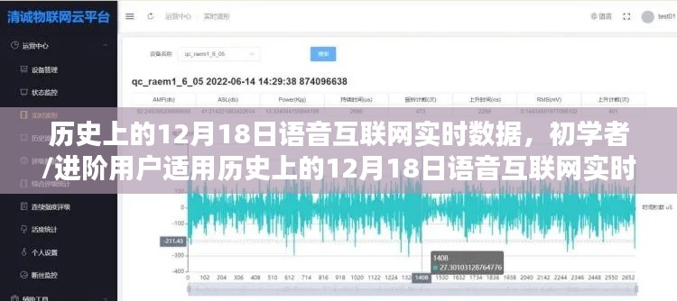 歷史上的12月18日語音互聯(lián)網(wǎng)實(shí)時(shí)數(shù)據(jù)探索指南，初學(xué)者與進(jìn)階用戶適用