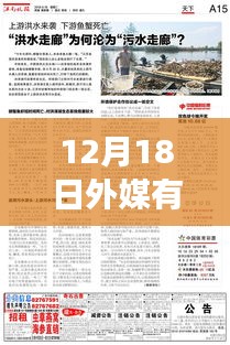 多維視角下的觀點(diǎn)碰撞，揭秘外媒實時媒體網(wǎng)站在12月18日的動態(tài)與探析