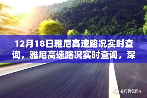 雅尼高速路況實(shí)時(shí)查詢深度解析與觀點(diǎn)闡述，最新路況信息，不容錯(cuò)過(guò)！