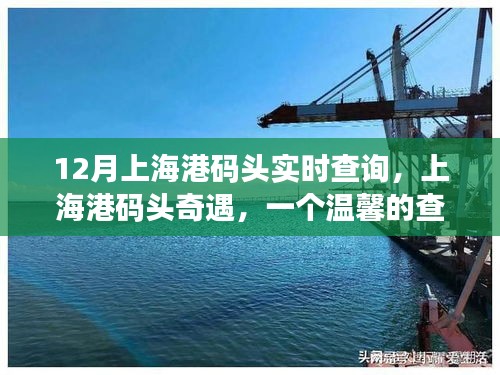 上海港碼頭奇遇，溫馨的查詢故事實時更新