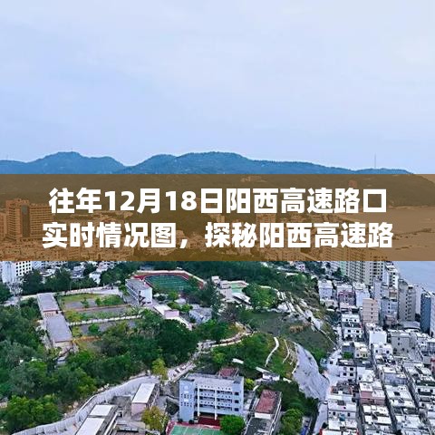 探秘陽西高速路口隱藏版特色小店，奇遇記與小巷深處的獨特風(fēng)味