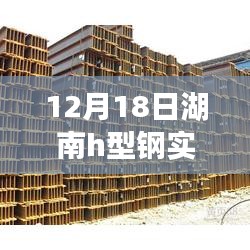 湖南h型鋼實時價格表與特色小店探尋，寶藏小巷揭秘及價格一覽