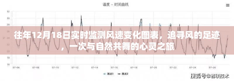 輕徙鳥舉 第2頁