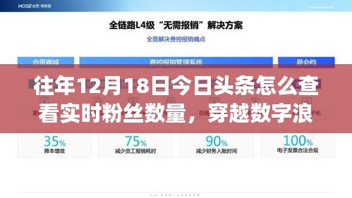 揭秘數(shù)字浪潮下的粉絲風云，如何在十二月十八日實時查看今日頭條粉絲數(shù)量？