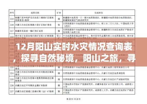 探尋自然秘境，陽(yáng)山之旅遭遇水災(zāi)，實(shí)時(shí)情況查詢與內(nèi)心力量的尋找