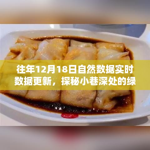 探秘綠色數(shù)據(jù)寶藏，特色小店與自然數(shù)據(jù)實時共舞，小巷深處的最新更新動態(tài)