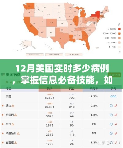 美國實(shí)時(shí)病例查詢指南，掌握信息必備技能與查詢方法