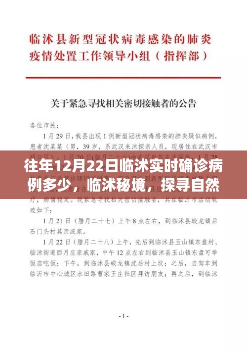 臨沭實(shí)時確診病例更新及秘境自然美景探尋之旅，重拾內(nèi)心的寧靜與和諧