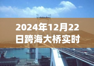跨海大橋壯麗景色與寧靜之旅，實(shí)時(shí)探尋橋梁下的秘密之旅（2024年跨海大橋?qū)崟r(shí)報(bào)道）