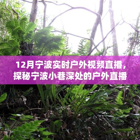 12月寧波戶外直播探秘，冬日風(fēng)情直播秀，小巷深處的秘境展示