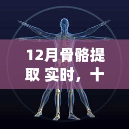 深度探究，十二月骨骼提取——?dú)v史背景、重大事件與領(lǐng)域地位實(shí)時(shí)解析