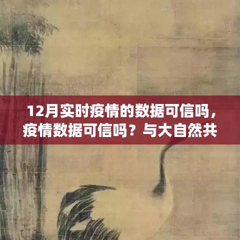 12月疫情數(shù)據(jù)可靠性分析及尋找內(nèi)心寧?kù)o之旅