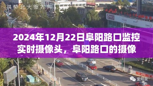 阜陽(yáng)路口監(jiān)控下的生活觀察，學(xué)習(xí)變化，自信成就未來(lái)之路